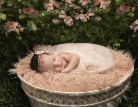 Newborn Sessions